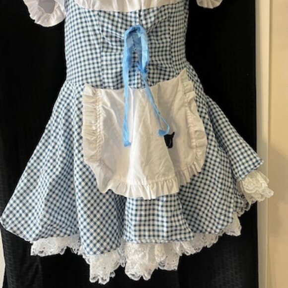 Wizard of Oz ~ Dorothy Halloween Costume ~ Cute - Picture 2 of 9